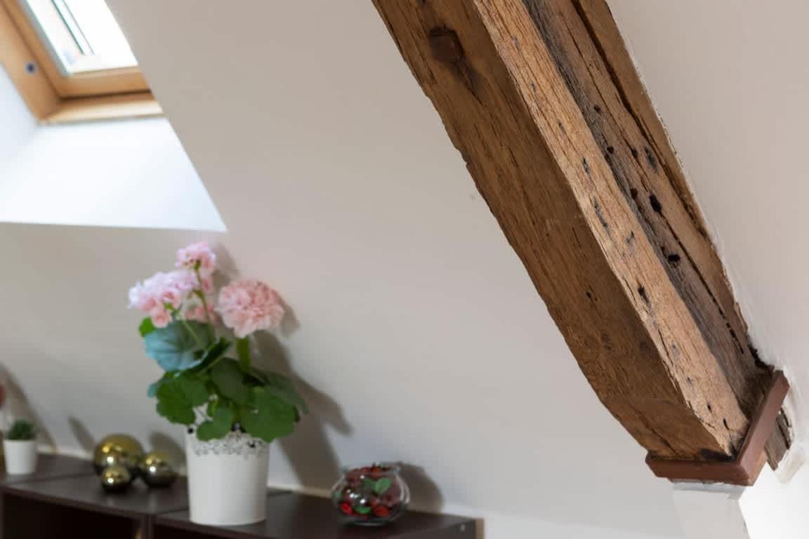Le Ruellan Charmant Duplex Proche Plage 圣马洛 外观 照片